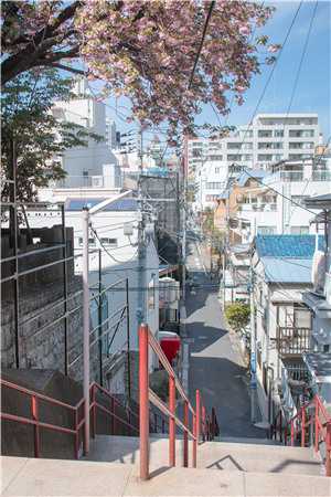 何以度余年顾寒笙温晴完结文